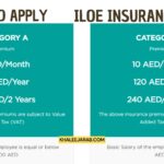 Nbad Balance Inquiry: Troubleshoot, Tips, And Travel Benefits 2025