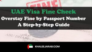 visa fine check