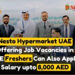 DHL Careers in Dubai & Abu Dhabi 2025 Multiple Vacancies