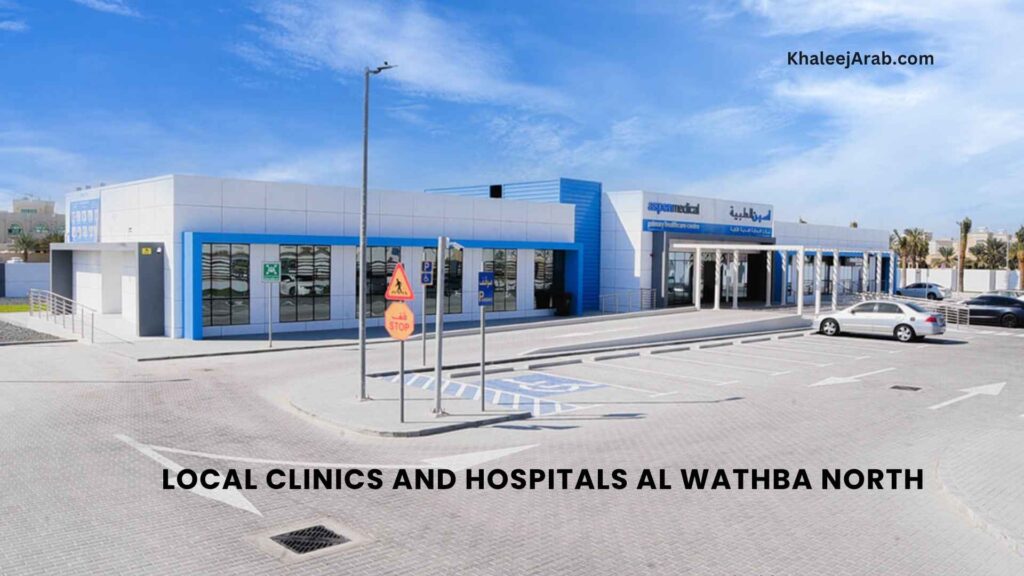Local Clinics and Hospitals